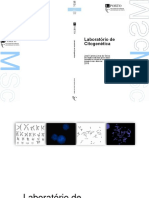 Laboratório de Citogenética: José Carlos Lima Do Seixo