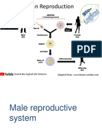 Human Reproduction