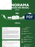 NT Panorama Do Biogas No Brasil 2021