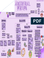 Mapa Conceptual Cancer Oral-Vph