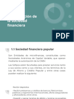 Identificación de La Sociedad Financiera