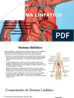 Sistema Linfático