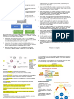 Parcial de Geo (Recuperado Automáticamente)