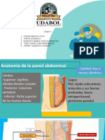 Cirugia de Abdomen