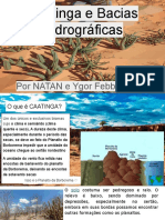 Caatinga e Bacia Hidrográfica