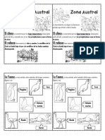 Ficha Zona Austral