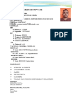 Curriculum Vitae Actualizado - 021729