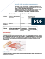 Physiologie Du Muscle Et de La Contraction Musculaire