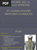 Anatomie de La Moelle Épinière Et Correlations Anatomo-Cliniques