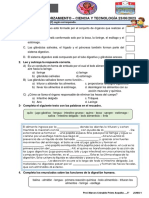 Ficha de Ciencia y Tecnología-8