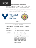 Informe Pericial Final Corregido