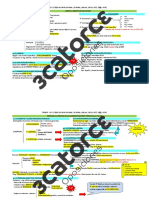 Esquema Trebep Primeras Paginas