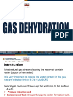 Gas Dehydration