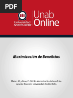 Icad202 s10 Apuntesmaximizacionbeneficio