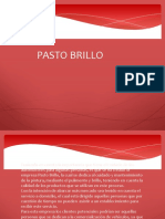 Pasto Brillo