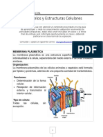 BIOLOGIA