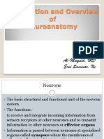 Introduction and Overview of Neuroanatomy (Presentation) Author Al Muqsith, Ervi Suminar