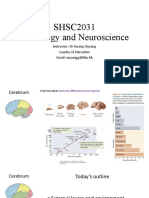 Week 5 Cerebrum