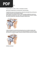 Ritmo Escapulo Umeral