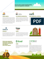 Infográfico - Cooperativas Brasileiras