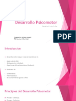 Desarrollo Psicomotor: Diagnostico Infanto Juvenil T.O Romina Peña Vidal