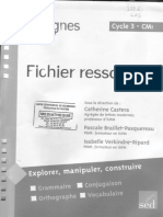 CM1 Fichier Resources Enseignant Interlignes SED Prog 2008