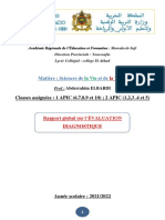 Rapport D'évaluation Diagnostique