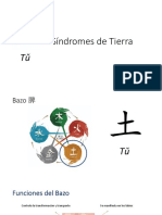 Grupo Estudio 2023 - 10a Clase - Síndromes Tierra