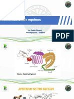 Alimentación de Equinos PDF REV - 221118 - 072219