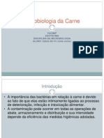 Microbiologia Da Carne