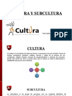 Cultura y Subcultura