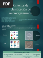 Taxonomía 