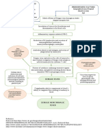 Pathophysiology Dengue