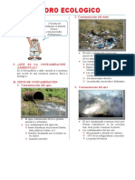 Contaminación Ambiental para Cuarto de Primaria