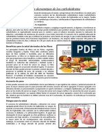 Ficha de Lectura de Carbohidratos