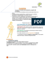 Cadera PDF