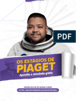 Os Estágios de Desenvolvimento de Piaget