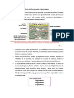 Tema 6 Bioquimica