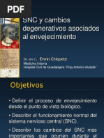 Erwin. SNC y Envejecimiento