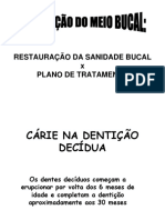 Adequação Do Meio Bucal - Odonto Usf