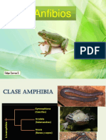 Características Generales de Anfibios