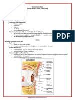 A&P - 11. Vision, Taste & Smell (15p)