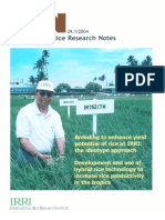 International Rice Research Notes Vol.29 No.1