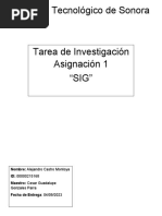 SIG Asignacion 1