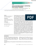 The FEBS Journal - 2021 - Bin Ibrahim - Long Term Plasticity in The Hippocampus Maintaining Within and Tagging Between