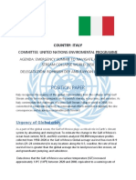 Position Paper of Italy