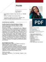 Lizeth Vargas Pulido CV