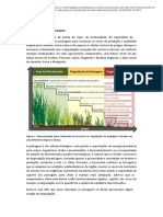 Aula Degradacao de Pastagem - Passei Direto