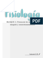 BLOQUE 1 - Potencial de Membrana, Sinapsis y Neurotransmisores