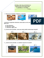 1º Básico (7) Prueba Diagnostico Ciencias Naturales